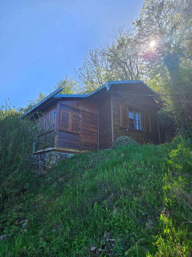 Elbblick Villa Storkau Kültér fotó